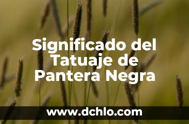 Significado del Tatuaje de Pez Koi 5 Significado del Tatuaje de Pantera Negra