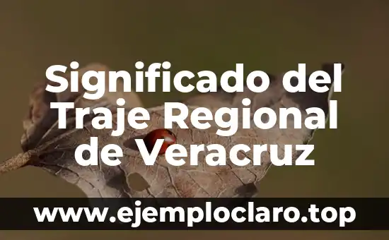 El Significado del Nombre Oleg 4 Significado del Traje Regional de Veracruz