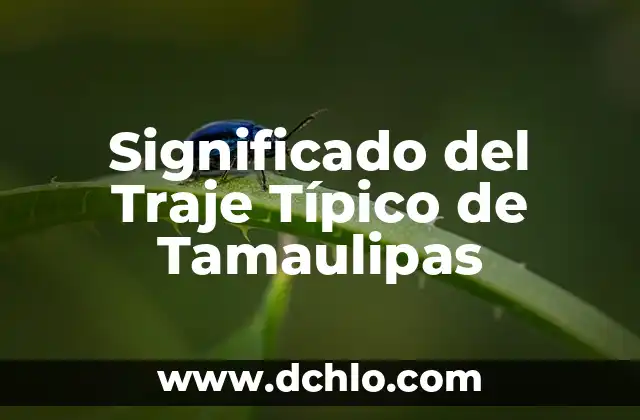 Soñar que se te caen todos los dientes: significado y explicación 6 Significado del Traje Típico de Tamaulipas