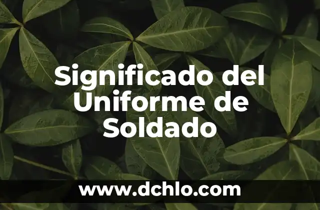Investigar el significado de juliterales 8 Significado del Uniforme de Soldado