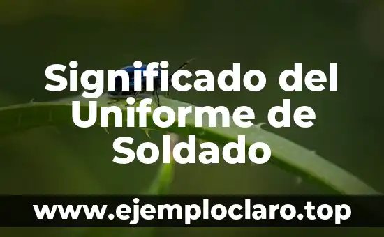 Significado del Uniforme de Soldado