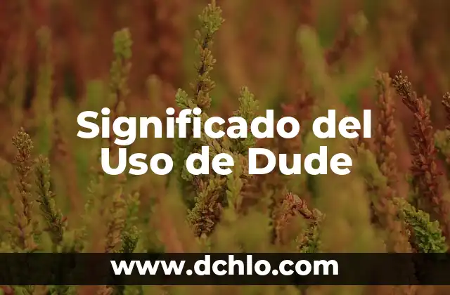 El Significado de Stinky y Su Uso en el Idioma 3 Significado del Uso de Dude