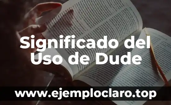 Significado del Uso de Dude