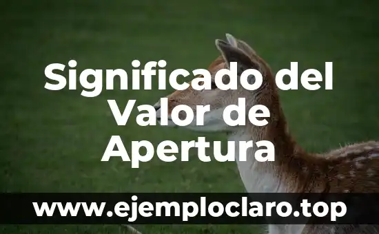 Significado del Valor de Apertura