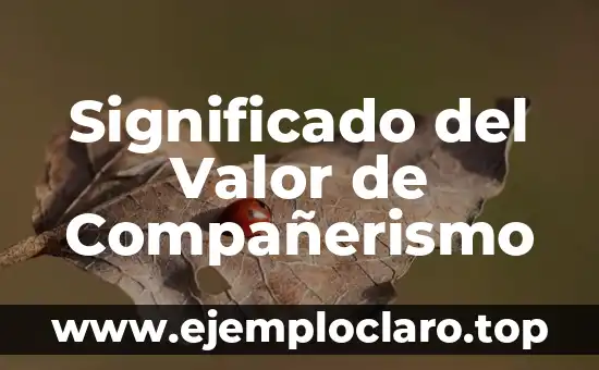Significado del Valor de Compañerismo