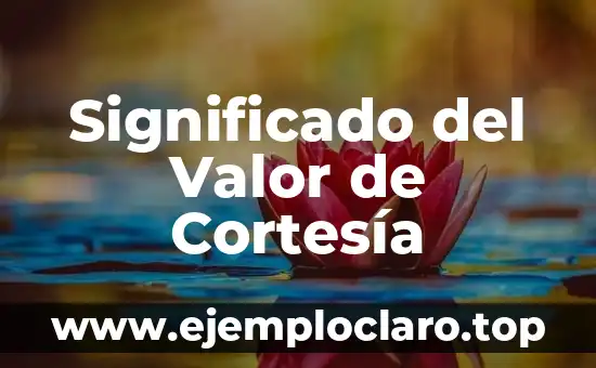 Significado del Valor de Cortesía