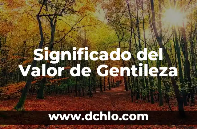 Significado del Valor de la Flexibilidad 6 Significado del Valor de Gentileza