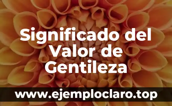 Significado del Valor de Gentileza