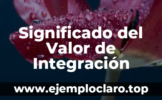 Significado del Valor de Integración
