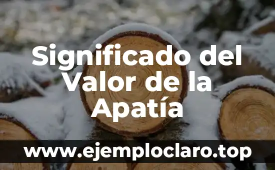 Significado del Valor de la Apatía
