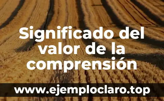 Significado de Subnacional - Comprensión Básica 3 Significado del valor de la comprensión