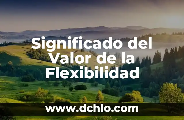 Significado del Valor de Gentileza 4 Significado del Valor de la Flexibilidad