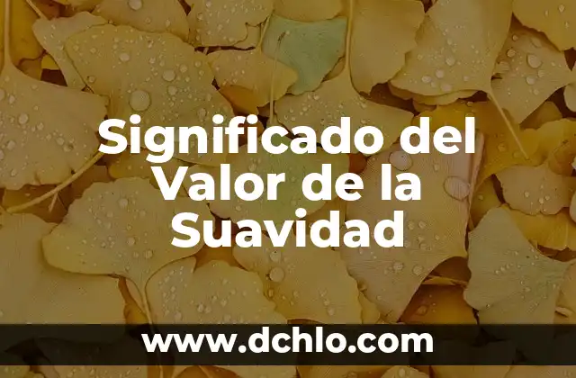 Investigar el significado de burbuja 6 Significado del Valor de la Suavidad