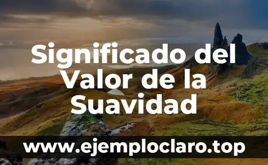 Significado del Valor de la Suavidad