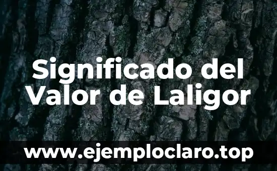 Significado del Valor de Laligor