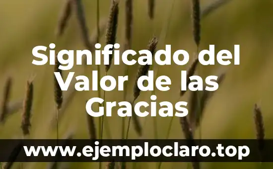 Significado del Valor de las Gracias