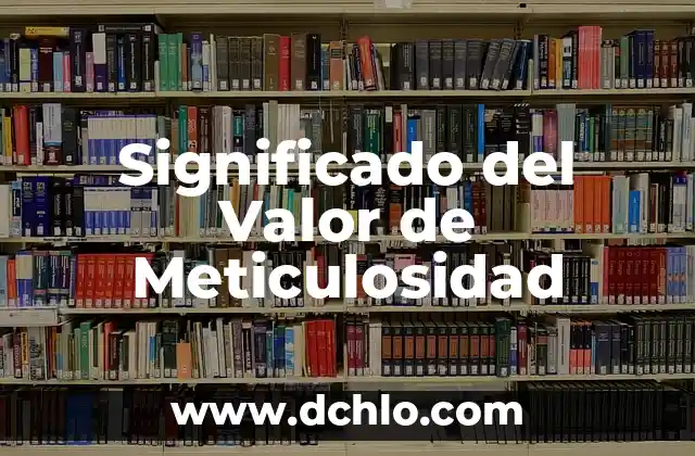 Investigar el Significado de F贸sil 7 Significado del Valor de Meticulosidad
