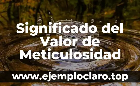 Significado del Valor de Meticulosidad