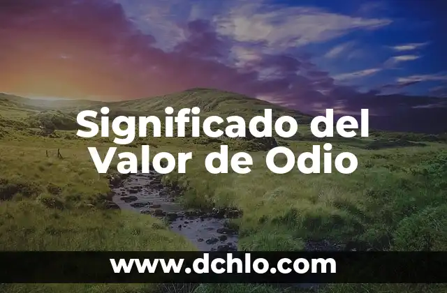 El significado del valor de la orientación 8 Significado del Valor de Odio