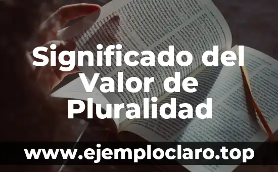 Significado del Valor de Pluralidad