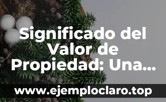 Supervisión gubernamental: Una guía completa 5 Significado del Valor de Propiedad: Una Guía Completa