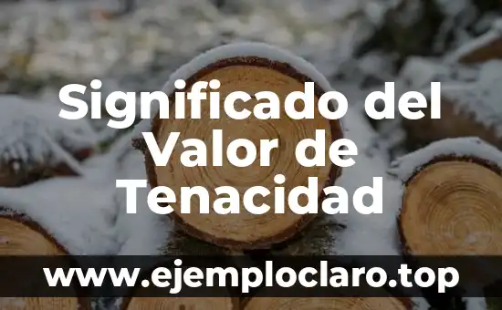 Significado del Valor de Tenacidad