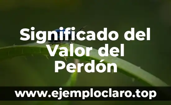 Significado del Valor del Perdón