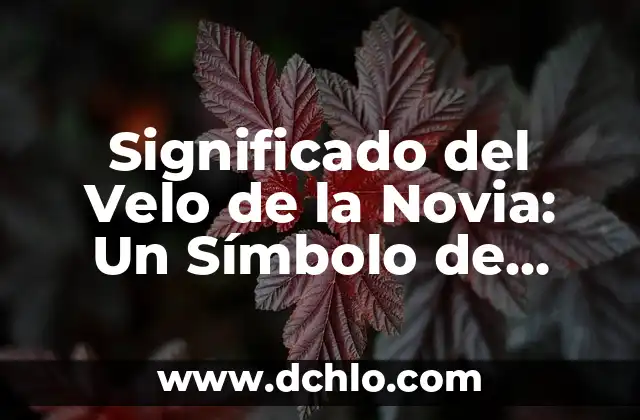 El Significado del Velo en la Boda 5 Significado del Velo de la Novia: Un Símbolo de Pureza y Tradición