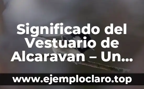 Significado del Vestuario de Alcaravan - Un Viaje Cultural