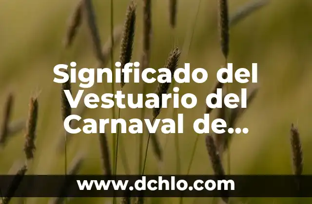 Flor de Piña en el Vestuario: Un Simbolismo Único en la Moda 8 Significado del Vestuario del Carnaval de Tlaxcala