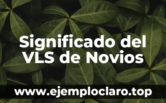 Significado del VLS de Novios