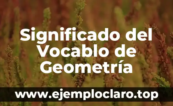 Significado del Vocablo de Geometría