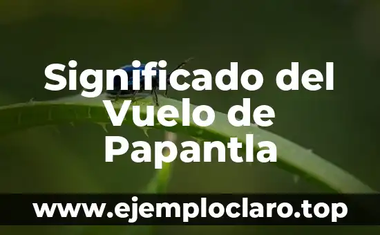 Significado del Vuelo de Papantla