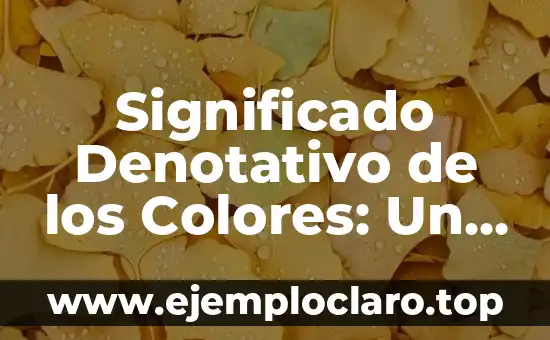 Significado Denotativo de los Colores: Un Mundo de Comunicación Visual