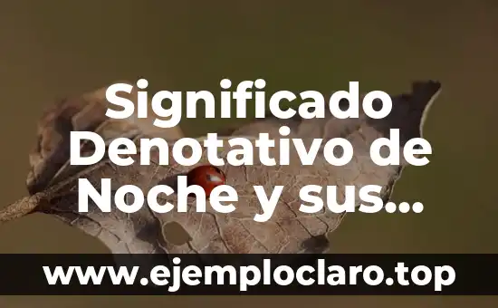 Significado Denotativo de Noche y sus Ejemplos