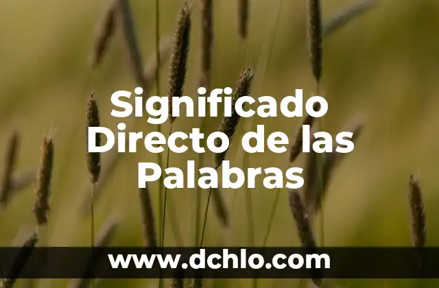 Descubre el Significado Directo de las Palabras: Guía Completa 3 Significado Directo de las Palabras
