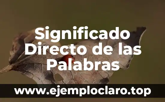 Significado Directo de las Palabras