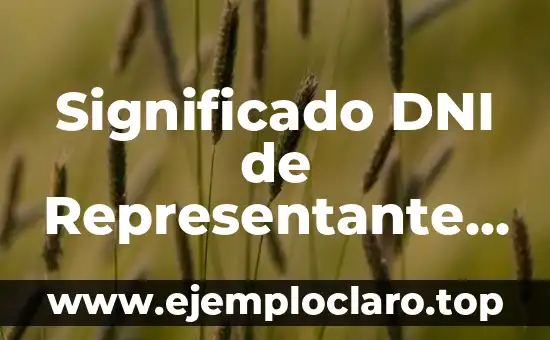Significado DNI de Representante Legal: Guía Completa