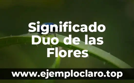 Significado Duo de las Flores