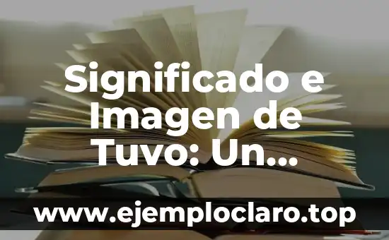 Significado e Imagen de Tuvo: Un Análisis Profundo