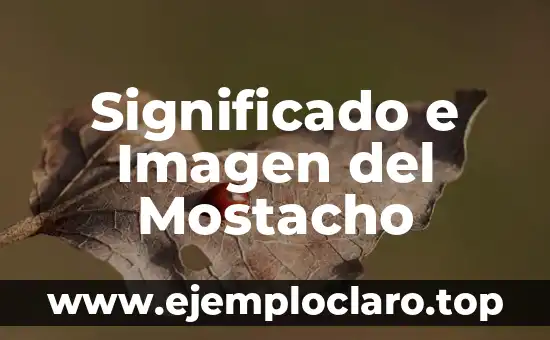 Significado e Imagen del Mostacho
