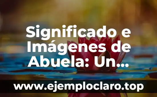 Significado e Imágenes de Abuela: Un Tributo a las Abuelas