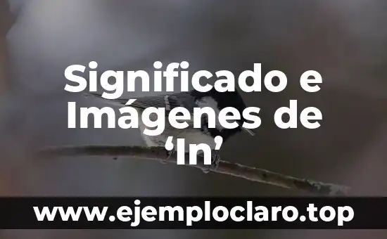 Significado e Imagem de Frato 7 Significado e Imágenes de ‘In’