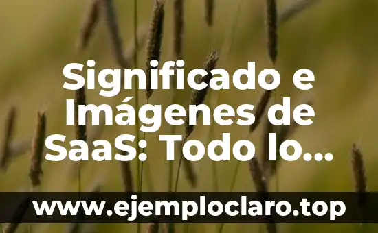 Significado e Imágenes de SaaS: Todo lo que Necesitas Saber