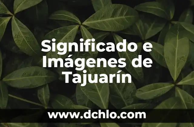 Significado e Historia de Yuleisy 4 Significado e Imágenes de Tajuarín