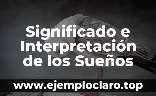 Significado de Fisonomía: Descubre el Arte de la Interpretación Facial 7 Significado e Interpretación de los Sueños