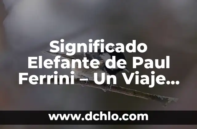 Frases significativas de Paulo Freire: Un legado de sabiduría 5 Significado Elefante de Paul Ferrini – Un Viaje por la Sabiduría