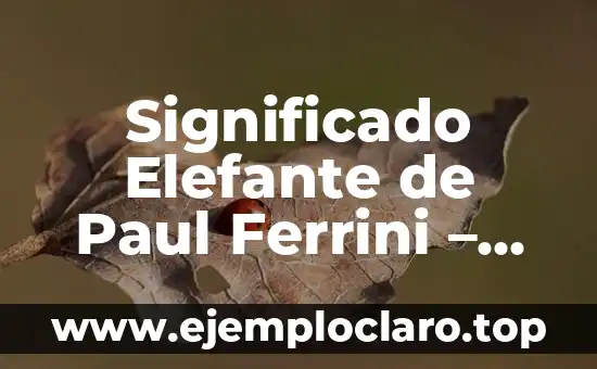 Significado Elefante de Paul Ferrini – Un Viaje por la Sabiduría