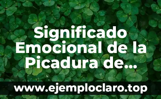 Significado Emocional de la Picadura de Abeja