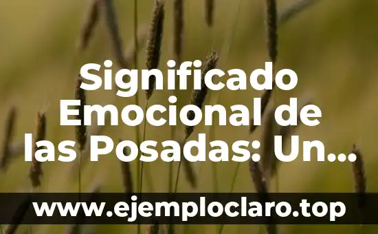 Significado Emocional de las Posadas: Un Viaje de Fe y Comunidad